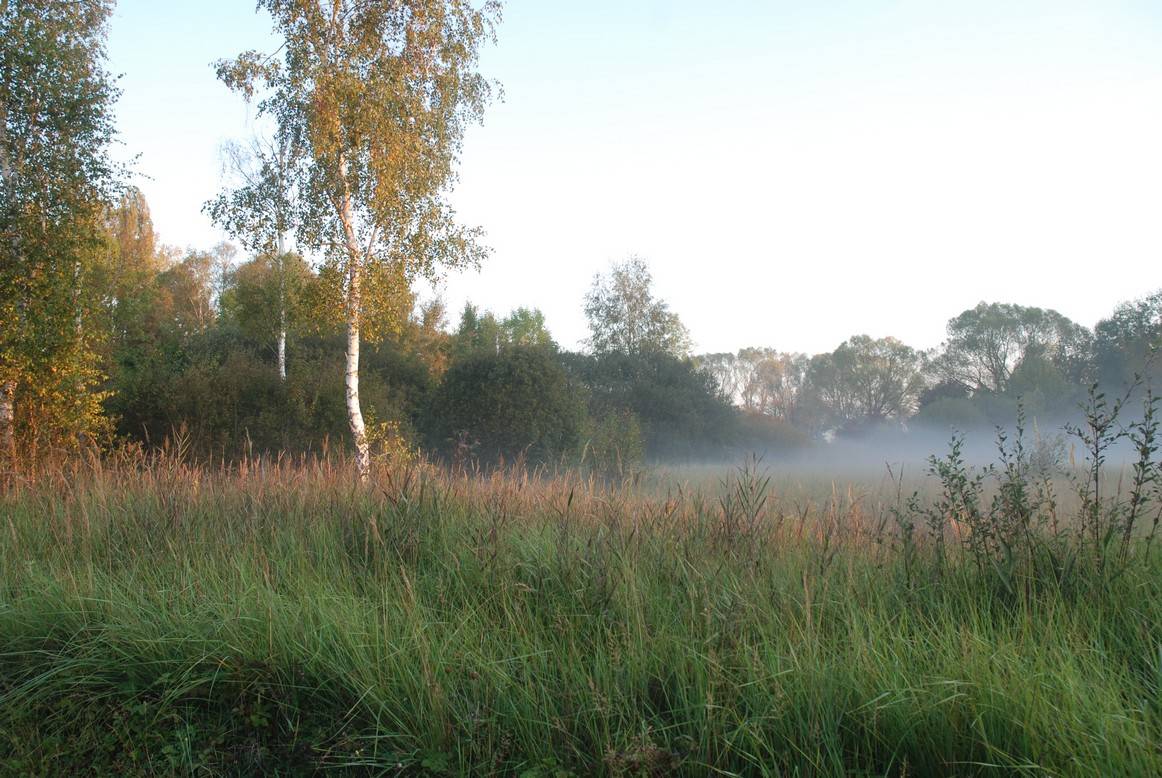 Basse vallée du Loing